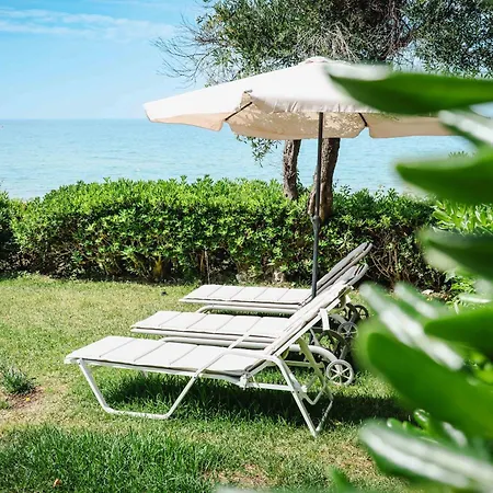 Corfu Dream Holidays *